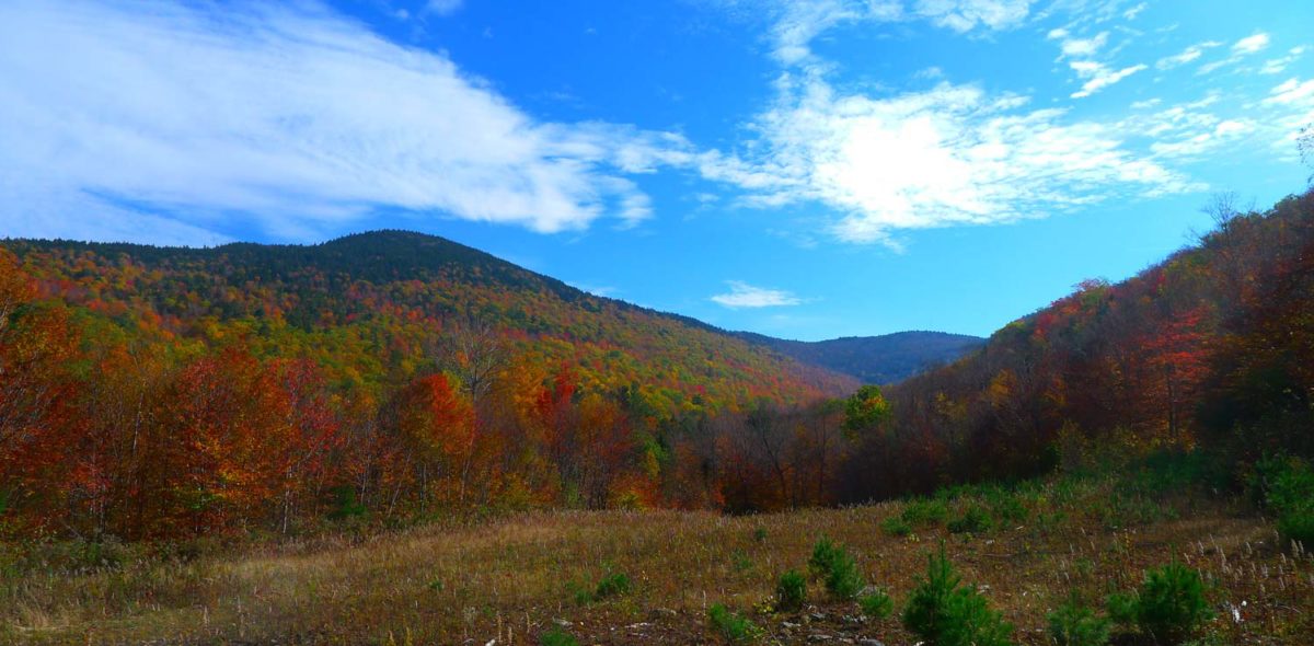 Ossipee-practices - Ossipee Mountain Land Company