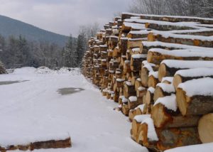 New Hampshire Forest Management