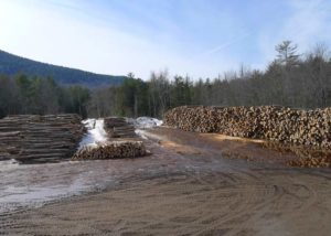 process of making safe firewood